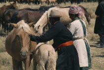 Khalkha horsemen at horse camp. Husband and wife take a young foal to a mare for milkingEast Asia Asian Equestrian Mongol Uls Mongolian