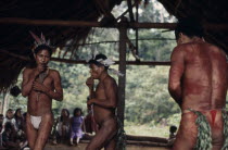 Maku men taking part in dance and playing pan-pipes watched by others beneath palm-thatched shelter/home.  With body paint wearing macaw feather crowns.indigenous tribe indian nomadic American Colomb...