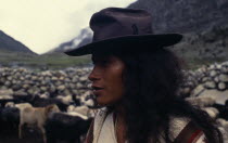 Portrait of Ika shepherd Vicencio in old trilby hat watching over his flock of sheep in the stone-walled pen behind.Arhuaco Aruaco indigenous tribe American Colombian Colorful Colombia Male Hispanic...