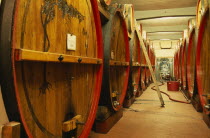 Bardolino.  Large wooden wine casks in cellar at the Museum of Wine.