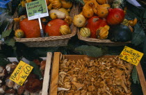 Display of chanterelle and porcini mushrooms and decorative gourds for sale with price per kilo on coloured tickets.