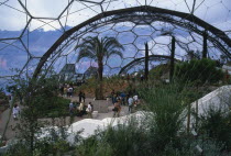 Eden Project.  Warm Temperate Biome interior with visitors walking on path amongst plants with geodesic domed roof overhead.