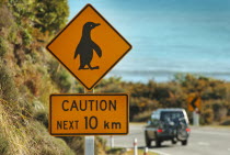 BEWARE PENQUINS CROSSING ROAD WARNING SIGN ON THE WESTERN ROUTE 6 COAST ROAD NORTH OF PUNAKAIKI.Antipodean Oceania Six