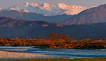 HOKITIKA  VIEW INLAND FROM THE WEST COASTAL ROUTE 6 THE KUMARA JUNCTION HIGHWAY NORTH OF HOKITIKA SHOWING THE SOUTHERN ALPS IN THE DISTANCE.Antipodean Oceania Motorway Scenic Six