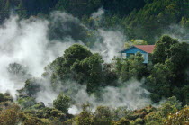 BOILING MUD POOLS AND BOILING SULPHUROUS HOT WATER GEYERS OF WHAKAREWAREWA THERMAL VILLAGE.Antipodean Oceania