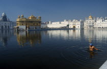 Sikh devotee taking a ceremonial dip in the tank at the Golden Temple