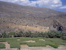 Oasis and agricultural land near Nizwa.