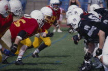 Lines of players from opposing teams facing each other.