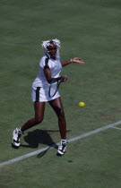 Venus Williams USA player with beaded hair