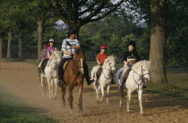 Group of horse riders in park