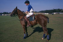 Horse and rider at Cowdray Park during Pony change.