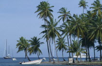 Cruise ship  yachts and motor boat in bay with beach and palms.Beaches Caribbean Resort Sand Sandy Seaside Shore Tourism West Indies Windward Islands