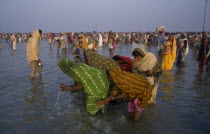 Pilgrims bathing in the River ganges during the Ganga Sagar Festival.