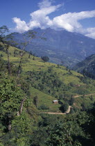 Terraced hillside with mountain backdrop part framed by treetops.countryside  cultivated  cultivation  Asia Asian Bharat Farming Agraian Agricultural Growing Husbandry  Land Producing Raising Inde In...