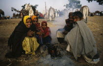 Rajasthani family huddled around small fire in desert area with cattle tethered behind.Asia Asian Bharat Cow  Bovine Bos Taurus Livestock Inde Indian Intiya Kids