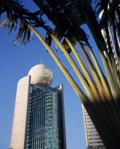 Etisalat Building on Dubai Creek with traveller s palm  partly in shadow in the foreground.Dubayy United Arab Emirates Al-Imarat Al-Arabiyyah Al-Muttahidah Arabic Emiriti Middle East