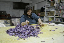 Ano Komi. Greek woman separating useful saffron from the flower .culturetraditionkrokoskrocuscrokoscrocossafransaffranfarmingspiceseasoningvillage lifelifestylefarmerAgriculture Ellada...