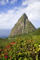 Val des Pitons The volcanic plug of Petit Piton and the lush valley seen from the sun deck of the Ladera Spa Resort Hotel