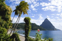 Beach lined with coconut palm trees with the town and the volcanic plug mountain of Petit Piton beyondCaribbean West Indies Windward Islands Beaches Resort Sand Sandy Scenic Seaside Shore Tourism  C...