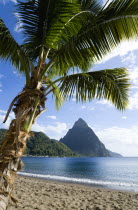 Soufriere Beach lined with coconut palm trees with the town and the volcanic plug mountain of Petit Piton beyond