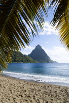 Soufriere Beach lined with coconut palm trees with the town and the volcanic plug mountain of Petit Piton beyondCaribbean West Indies Windward Islands Beaches Resort Sand Sandy Scenic Seaside Shore T...