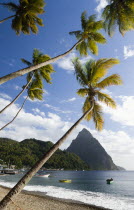 Fishing boats on the beach lined with coconut palm trees with the town and the volcanic plug mountain of Petit Piton beyond