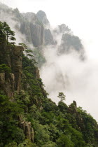 Huangshan or the Yellow Mountain. Rock peaks with lush green pine trees and a sea of cloud. Has inspired countlless painters and poets over the ages and has a 1200-year history as a tourist attractionAsia Asian Chinese Chungkuo Jhonggu Zhonggu Scenic Sightseeing Tourists