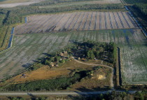 Aerial view over Independent Seminole Native American settlement amongst citrus groves and agricultural landNorth America United States of America American Farming Agraian Agricultural Growing Husba...