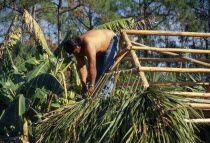 Independent Seminole Native American thatching a Chickee hut using palm frondsNorth America United States of America American One individual Solo Lone Solitary