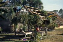 Independent Seminole Native American thatching a Chickee hut using palm frondsNorth America United States of America American