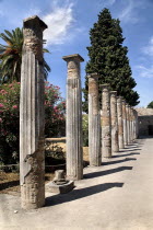 House of the Faun interior with a row of columnsArchaeology Romans Volcanoes Ancient Cities European Italia Italian Pompei Southern Europe History