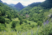 Ribota de Abajo mountain village.  Situated in green valley with trees and wild flowers.  Espainia Espana Espanha Espanya European Hispanic Scenic Southern Europe Spanish