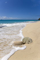 South Glossy Beach in Glossy Bay with waves breaking on the shoreline of the turqoise sea and yachts on the horizonBeaches Resort Sand Sandy Scenic Seaside Shore Tourism West Indies Caribbean Souther...