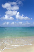 Waves breaking on Paradise Beach at LEsterre Bay with the turqoise sea and Sandy Island sand bar beyondBeaches Resort Sand Sandy Scenic Seaside Shore Tourism West Indies Caribbean Grenadian Greneda I...