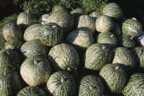 Green Pumpkins on sale for Halloween.European Great Britain Europe UK United Kingdom British Isles Northern Europe