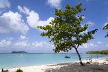 The calm clear blue water breaking on Paradise Beach in LEsterre Bay with Sandy Island on the horizon and people on the shoreline and in boats in the water. A single tree gives shade on the beachCari...