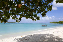 The calm clear blue water breaking on Paradise Beach in LEsterre Bay with Mabouya Island and Sandy Island on the horizon and people in boats in the water. A single tree gives shade on the beachCaribb...