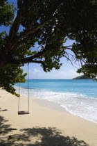 Empty swing hanging from a tree over the beach and breaking waves on Glossy Bay BeachBeaches Resort Sand Sandy Scenic Seaside Shore Tourism West Indies Caribbean Windward Islands Beaches Resort Sand...