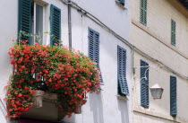 Val D Orcia Shuttered windows and a large window box display of red gerraniums European Italia Italian Southern Europe Toscana Tuscan