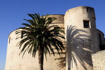 Citadel walls with palm & shadow  Old TownFrench Western Europe European French Western Europe European