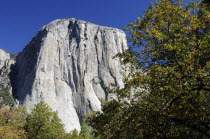 El Capitan mountain from Valley floorNorth America United States of America American National Park Northern The Golden State North America United States of America American National Park Northern Th...