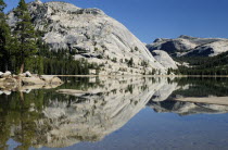 Tenaya Lake with reflectionsNorth America United States of America American National Park Northern The Golden State North America United States of America American National Park Northern The Golden...