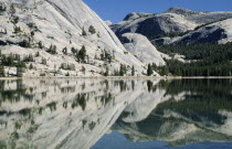 Tenaya Lake with reflectionsclose up North America United States of America American National Park Northern The Golden State close up North America United States of America American National Park No...