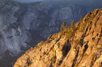 Sunset colours on rocks with ravine backdrop  Taft PointNorth America United States of America American National Park Northern Sundown Atmospheric The Golden State North America United States of Ame...