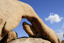 Arch Rock  Joshua Tree National ParkJTPS American Destination Destinations North America Northern United States of America Scenic The Golden State