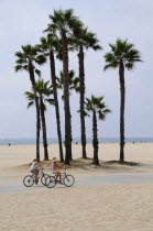 South Bay cycle route  Santa MonicaSanta Monica American Destination Destinations North America Northern Southern United States of America LA Sand Sandy Beaches Tourism Seaside Shore Tourist Tourists...