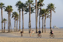 South Bay cycle route  Santa MonicaSanta Monica American Destination Destinations North America Northern Southern United States of America LA Sand Sandy Beaches Tourism Seaside Shore Tourist Tourists...