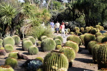 Golden Barrels  Desert Garden  The Huntington  Pasadena. Cactus plantsValley & Pasadena American Destination Destinations North America Northern United States of America Gardens Plants The Golden Sta...