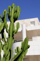 Cacti & Exhibitions Pavilion  Getty CentreWest American Center Destination Destinations North America Northern Pavillion United States of America LA The Golden State