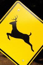 Deer sign on road to Getty VillaWest American Destination Destinations North America Northern United States of America Signs Display Posted Signage The Golden State